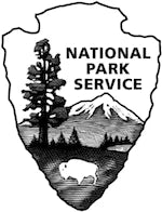NPS